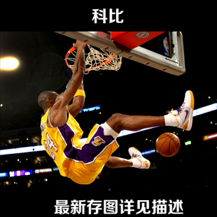 博洛尼亚音乐学院商业管理文凭证书